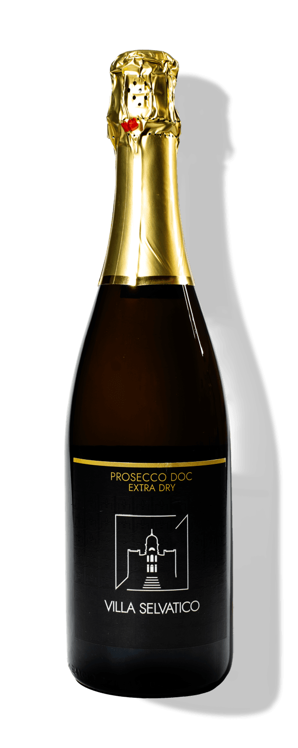 Spumante Prosecco Doc Extra dry Millesimato Villa Selvatico