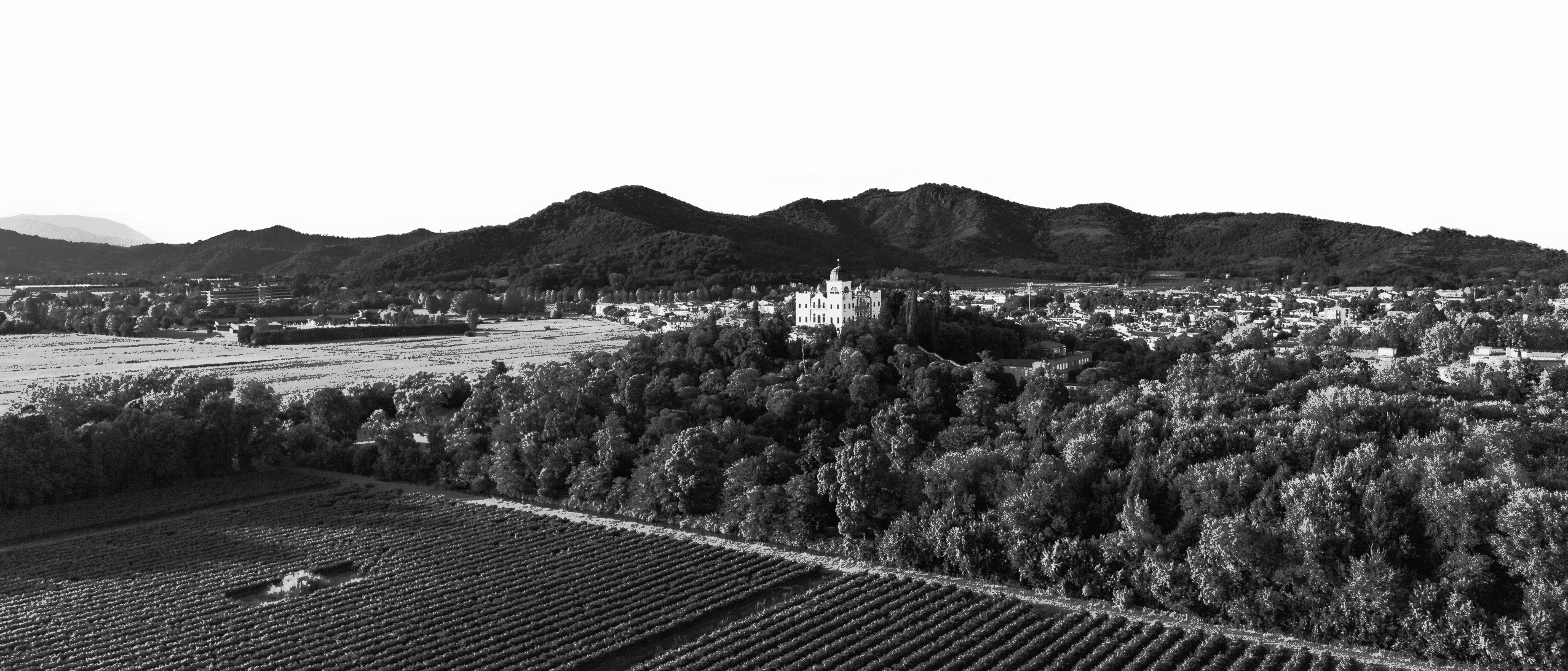Vista di Villa Selvatico - Sfondo