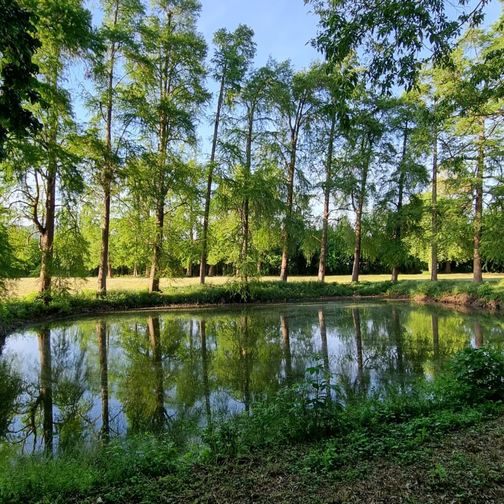 Laghetti termali nel parco della Villa